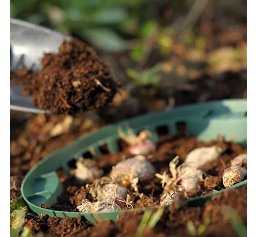 Bollenmand - ø 26,5 cm - 3 stuks