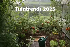 Tuintrends van 2025: Wat je kunt verwachten