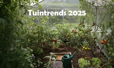 Tuintrends van 2025: Wat je kunt verwachten