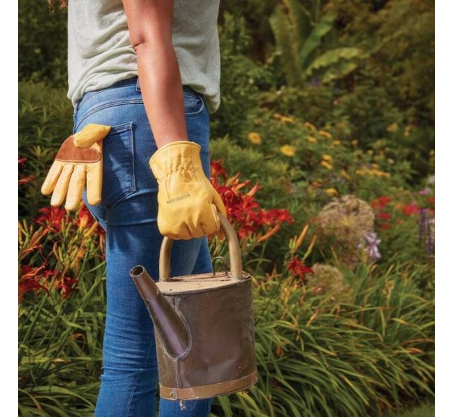 Briers Rozenhandschoenen Leer - Maat 9 - Large