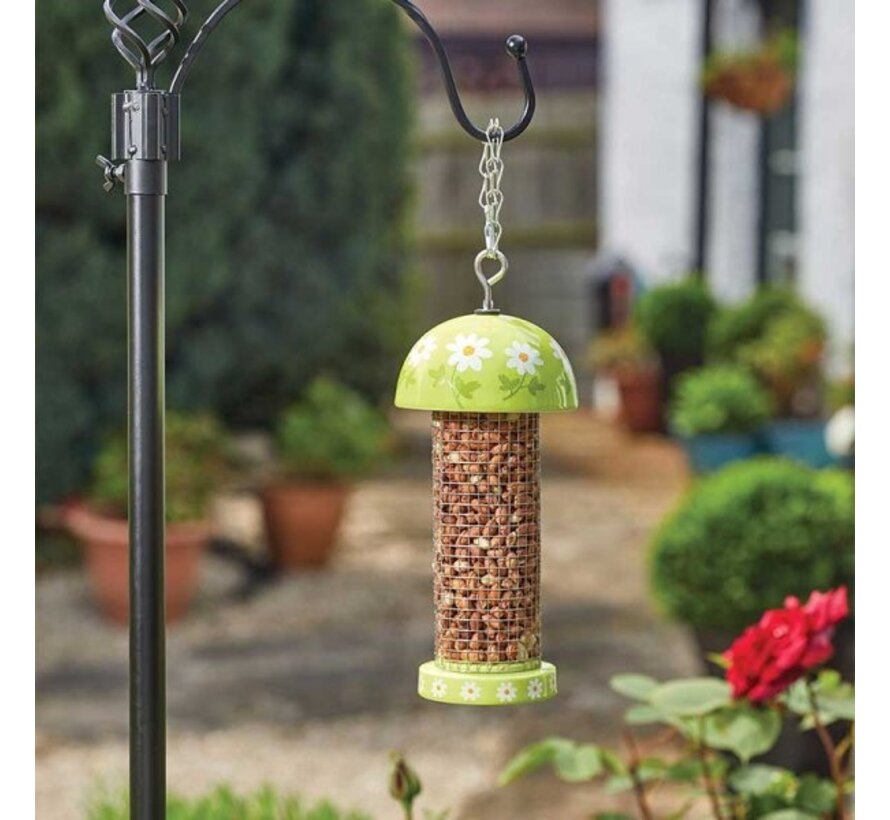 Flamboya vogelvoedersilo - Bloem - 27 cm