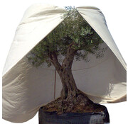 Videx Videx Plantenhoes XXXL - 250 x 350 cm - Thermohoes - 70 gr/m2