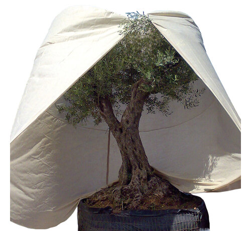 Videx Videx Plantenhoes XXXL - 250 x 350 cm - Thermohoes - Winterbescherming - 70 gr/m2