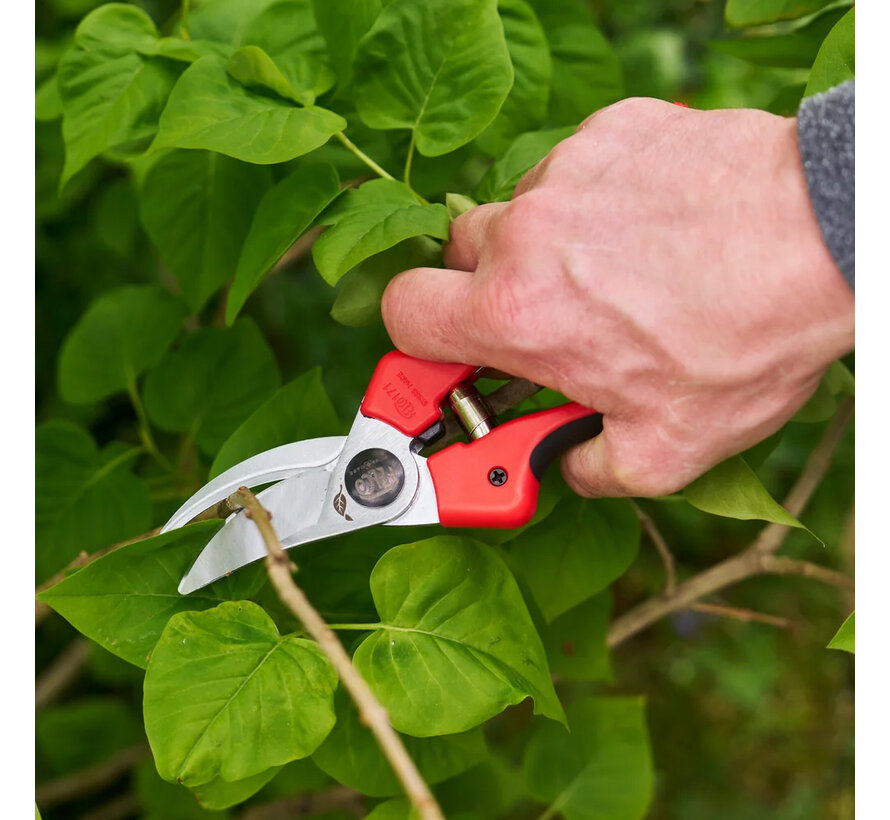 Felco 171 snoeischaar - Twee maten - 20 mm