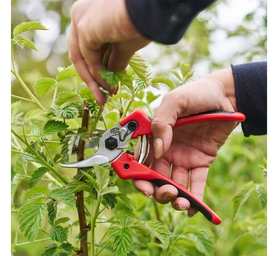 Felco 171 snoeischaar - Twee maten - 20 mm