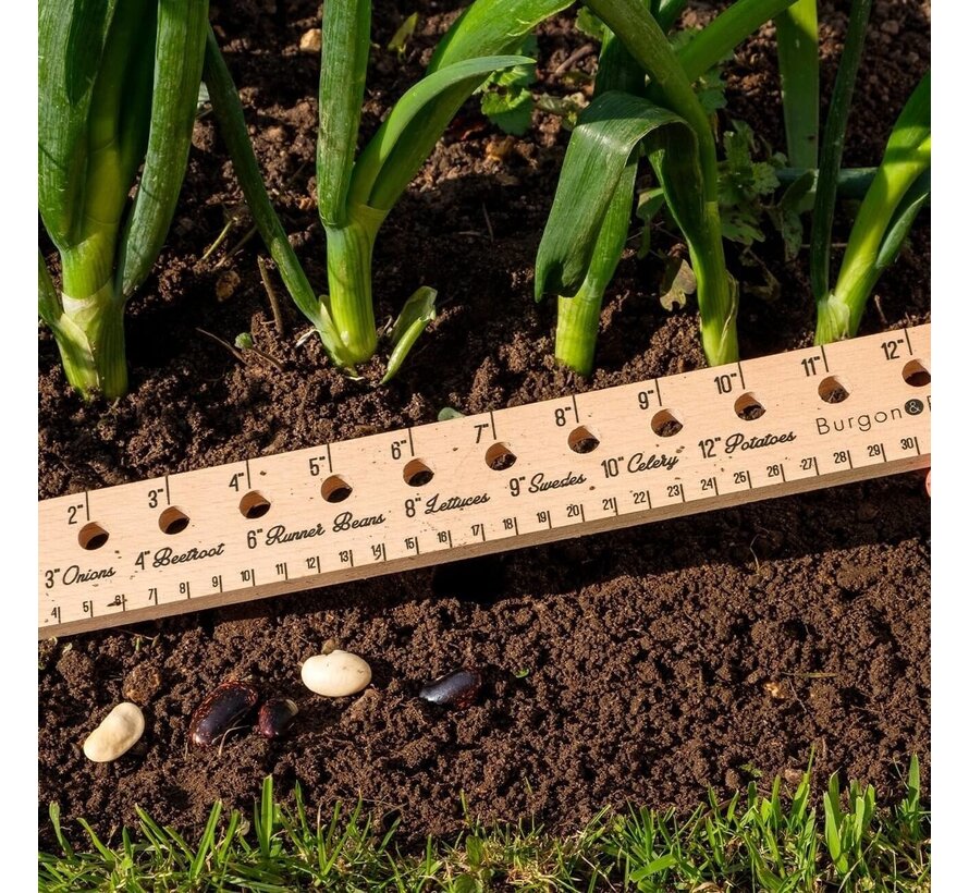 Zaaipakket Groot - Cadeaupakket - Tuinpakket