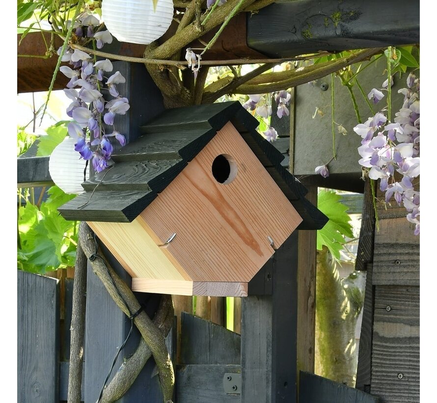 Vogelpakket - Cadeaupakket