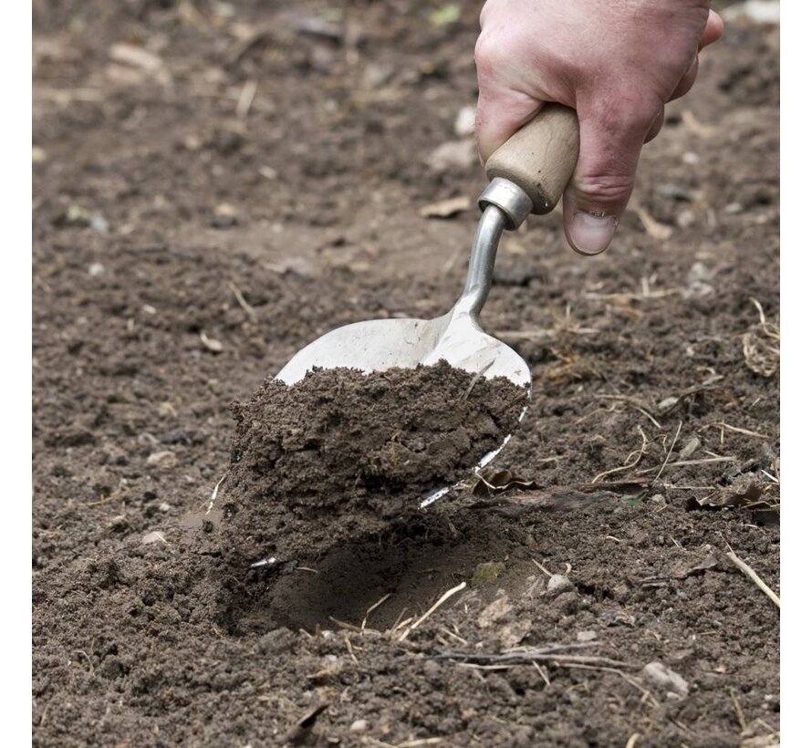 Sneeboer Planttroffel - 2 lengtes - Oud Hollands model