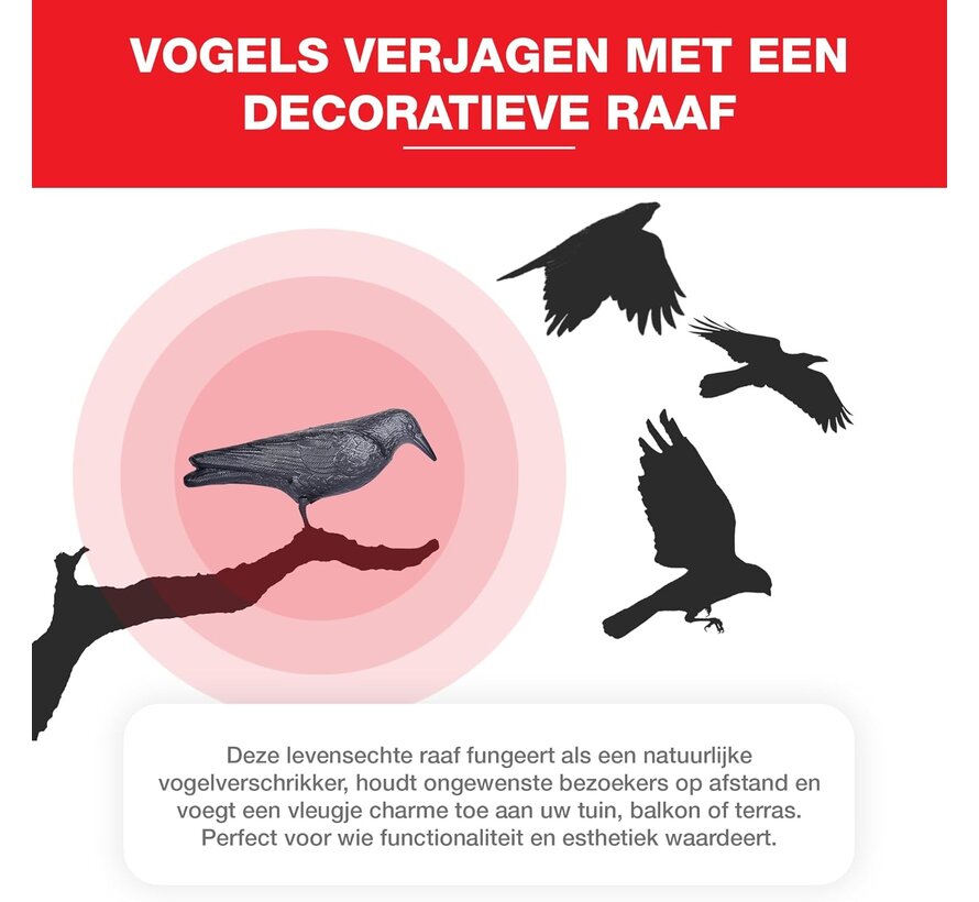Swissinno Vogelverschrikker - Raaf - Realistisch ontwerp