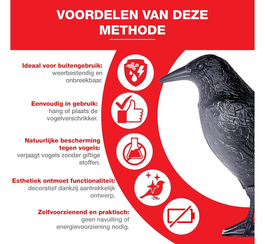 Swissinno Vogelverschrikker - Raaf - Realistisch ontwerp