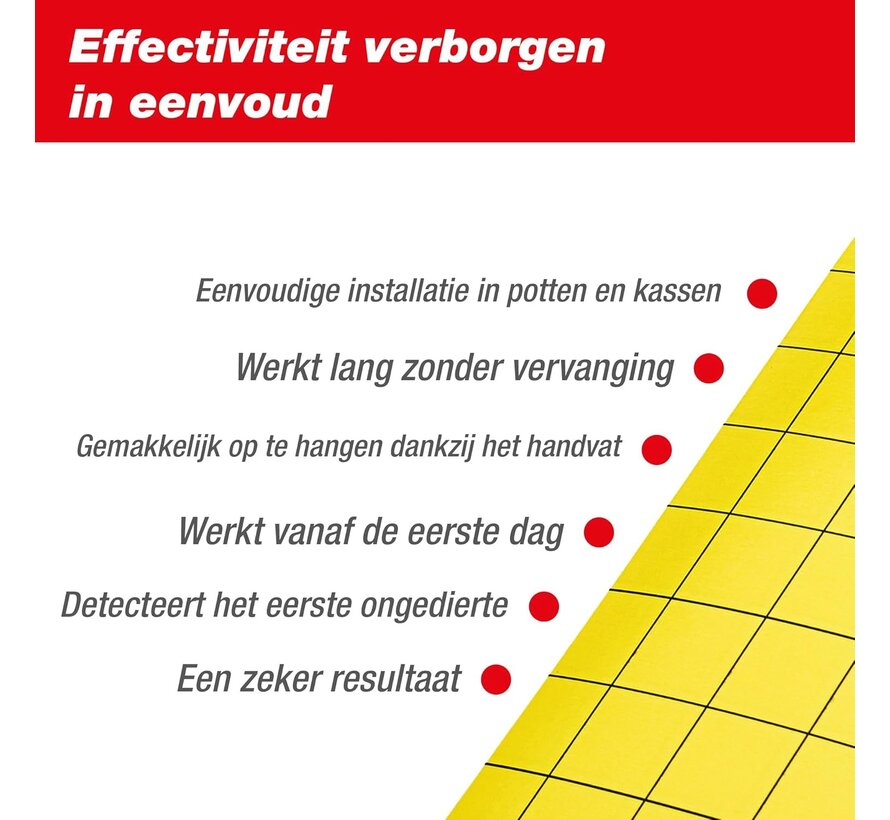 Swissinno Vliengenstrip - Plakstrip - 5 stuks
