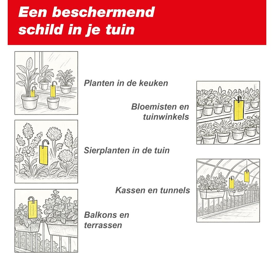 Swissinno Vliengenstrip - Plakstrip - 5 stuks