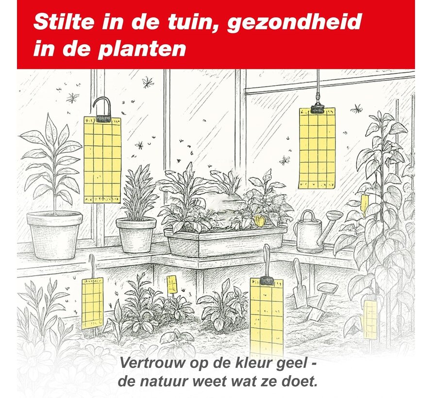 Swissinno Vliengenstrip - Plakstrip - 5 stuks