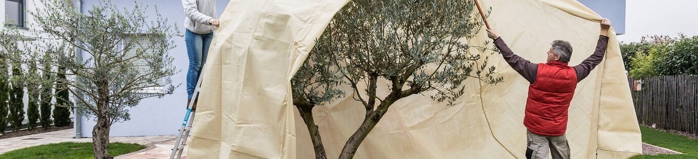 Hoe bescherm je je planten tegen vorst?