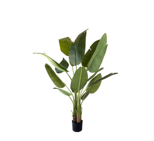 NeverLeafs NeverLeafs Kunstplant Strelitzia 150 cm - Realistisch aanvoelend