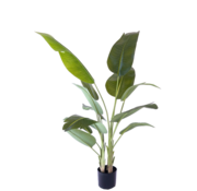NeverLeafs NeverLeafs Kunstplant Strelitzia 200 cm - Realistisch aanvoelend
