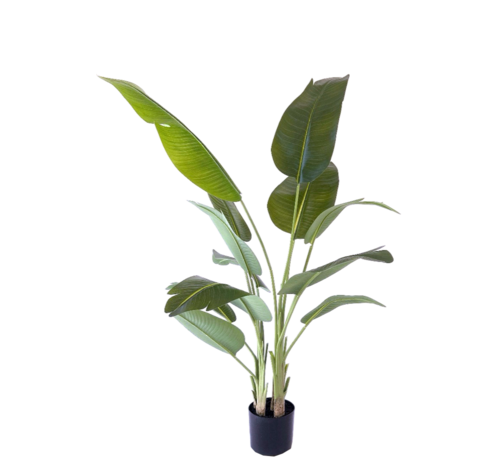 NeverLeafs NeverLeafs Kunstplant Strelitzia 200 cm - Realistisch aanvoelend