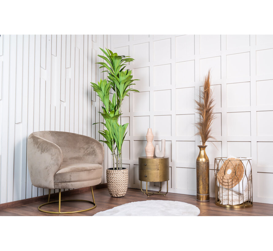 NeverLeafs Agave Kunstplant Deluxe - 170 cm