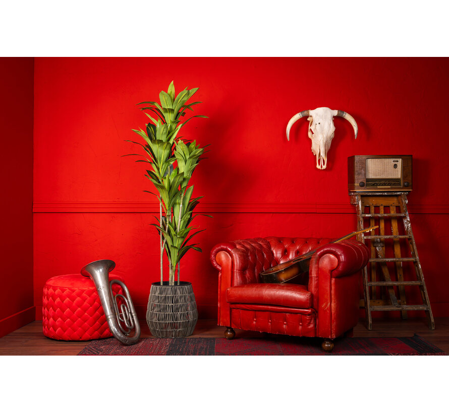 NeverLeafs Agave Kunstplant Deluxe - 170 cm