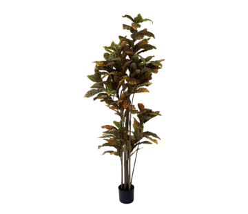 NeverLeafs NeverLeafs Ficus Deluxe kunstplant - 180 cm