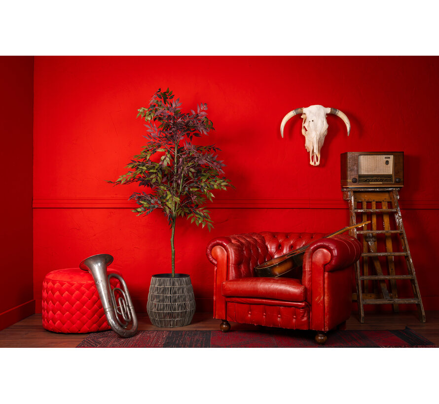 NeverLeafs Kunstplant Ficus - 150 cm