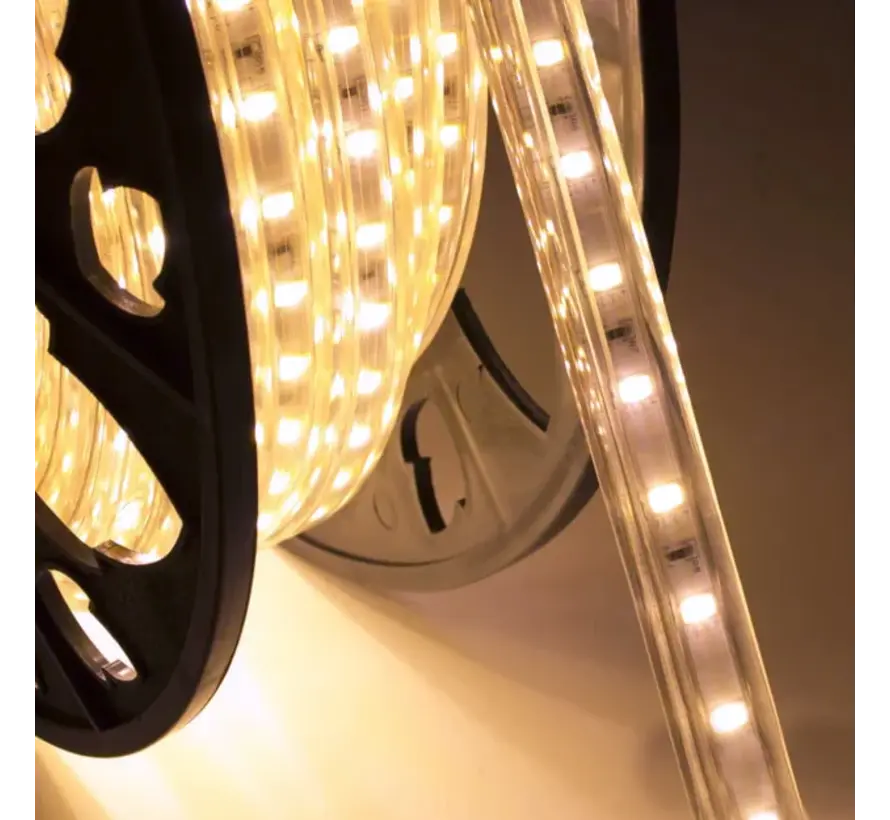 LED Lichtslang - Buiten - Blauw - 15 t/m 100 meter