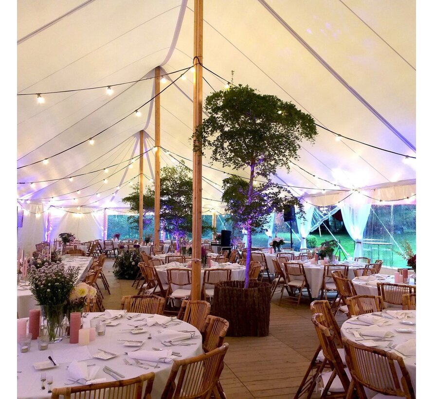 LED lamp - Prikkabel - Warm wit - Lange stokjes - 0,7 watt