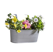 Smart Garden Products Hangbak Aztec - Metaal 30 cm - Lijsteengrijs