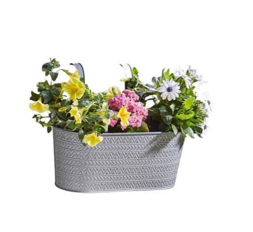 Smart Garden Products Hangbak Aztec - Metaal 30 cm - Lijsteengrijs