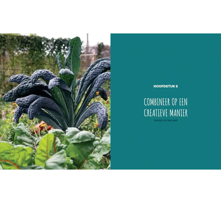 Tuinboek - Kleine Moestuin, Grote Opbrengst - Kim Nelissen