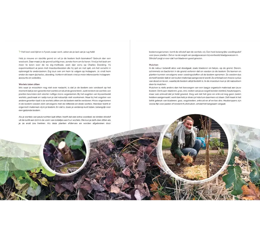 Tuinboek - Kleine Moestuin, Grote Opbrengst - Kim Nelissen