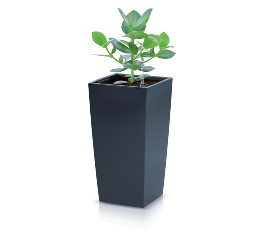Prosperplast Urbi Square Antraciet - Bloempot - 2 maten