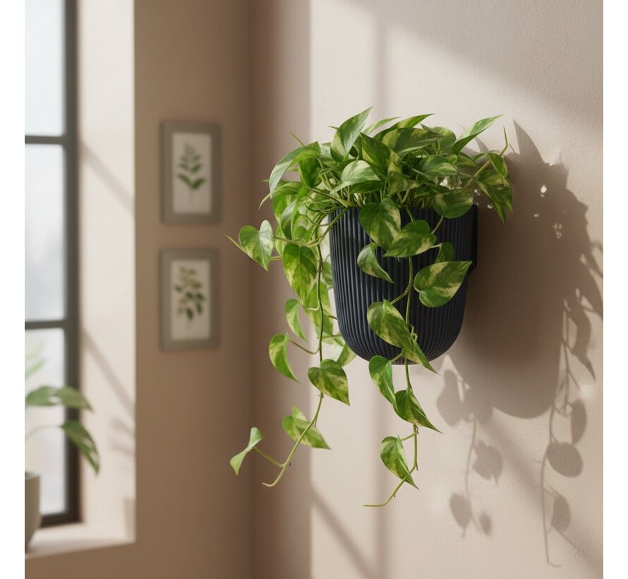 Muur bloempot Milly - 5 kleuren - 14,6 cm - 2,1 liter