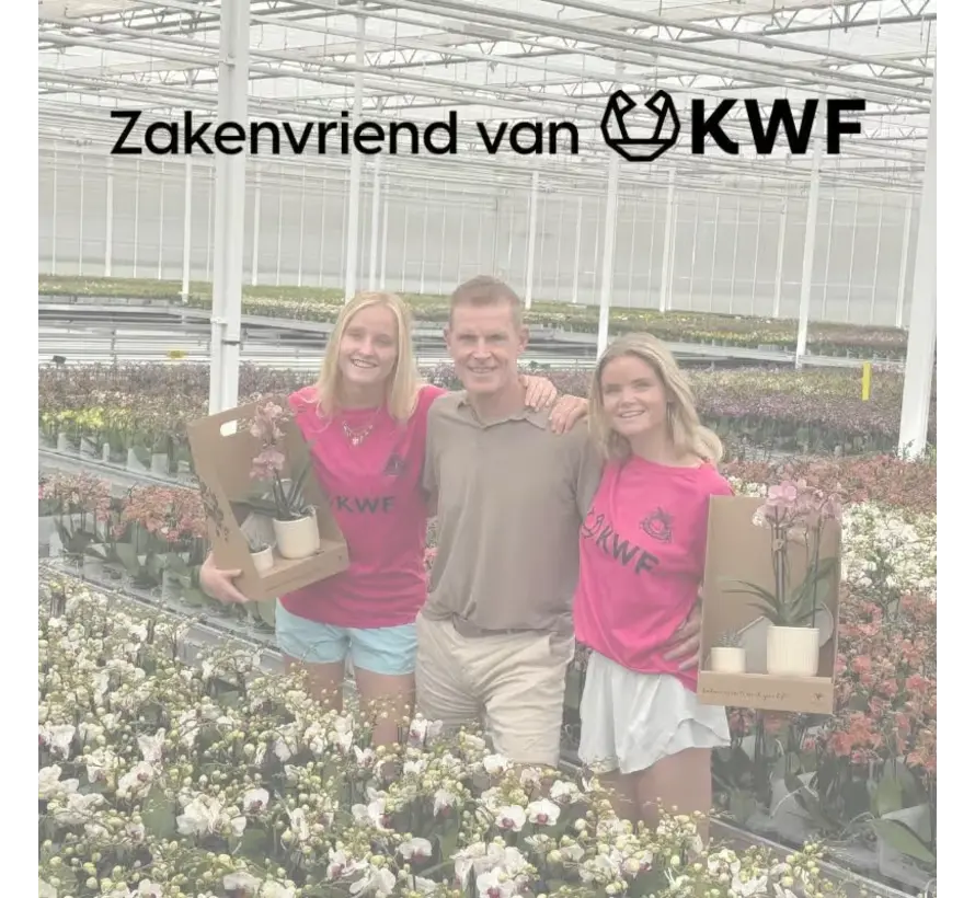 Kolibri Company Cadeauset travertijn - Orchidee
