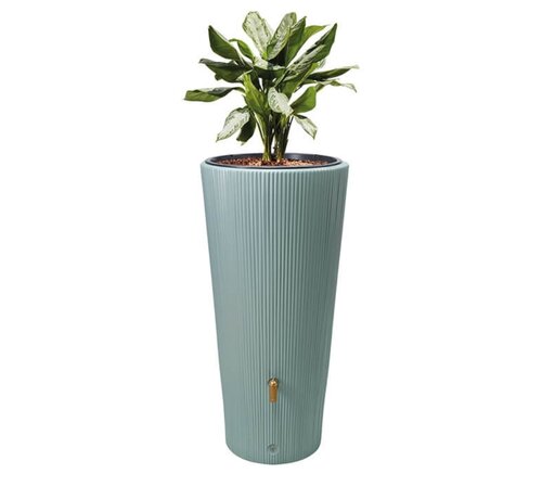 Garantia Regenton Vaso Decor - Agave - 220 Liter
