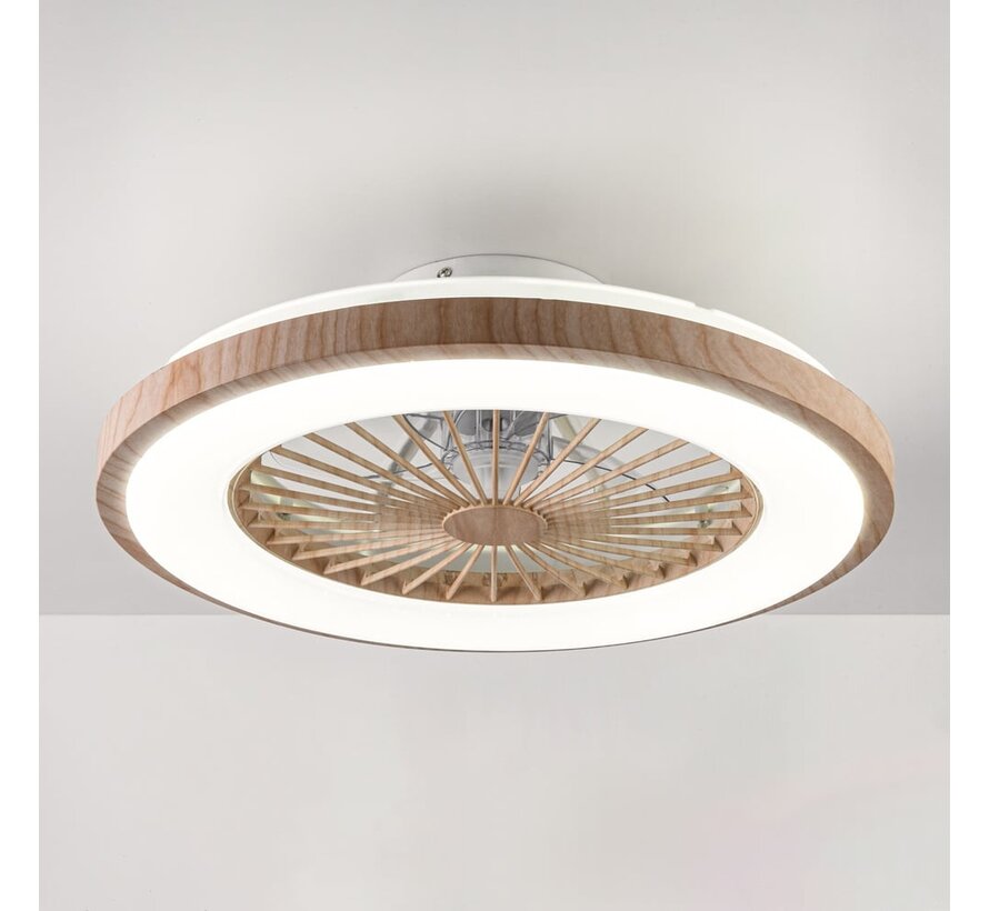 Plafondventilator met verlichting - Starry - Houtlook of zwart - Aanpasbare kleurtemperatuur