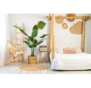 Kunstplant Strelitzia 200 cm real touch