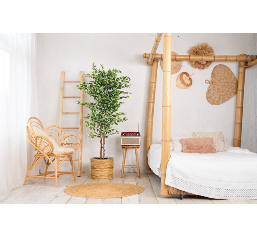 Kunstplant Ficus groen 160cm