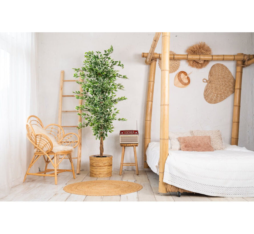 Kunstplant Ficus groen 180cm
