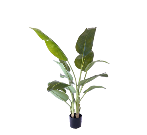 NeverLeafs NeverLeafs Kunstplant Strelitzia 180 cm - Real touch