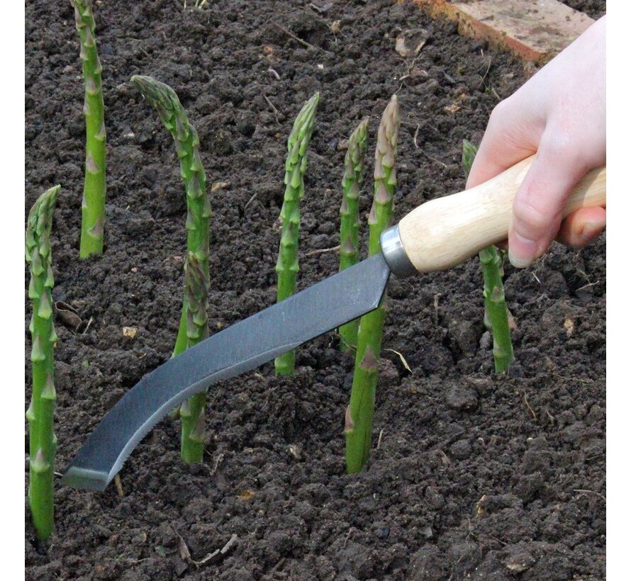 Burgon & Ball RHS - Aspergemes - Gekarteld lemmet