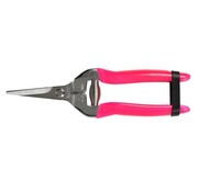 Burgon & Ball FloraBrite Roze fruitschaar - opvallend - 19 cm