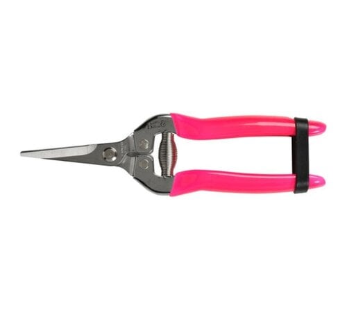 Burgon & Ball FloraBrite Roze fruitschaar - opvallend - 19 cm