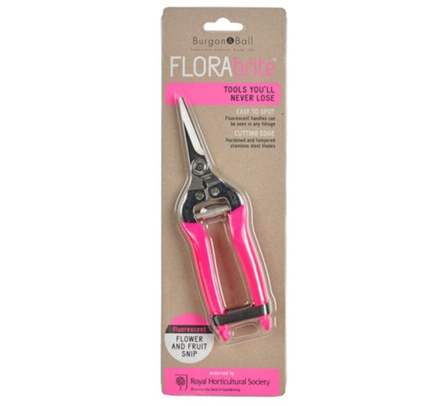 FloraBrite Roze fruitschaar - opvallend - 19 cm