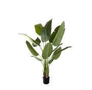 NeverLeafs NeverLeafs Kunstplant Strelitzia - 150 cm real touch
