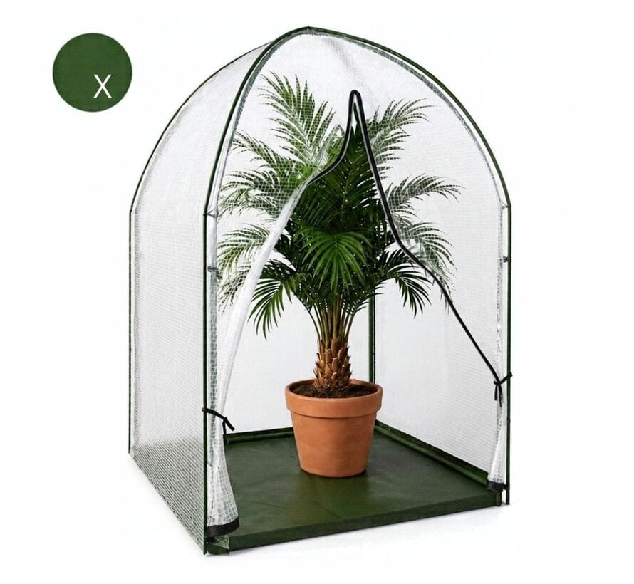 BioGreen Plantenbescherming ICEDOME ThermoPLUS - Groen 120 x 120 x 183 cm