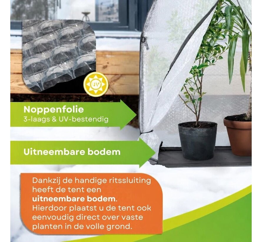 BioGreen Plantenbescherming ICEDOME ThermoPLUS - Groen 120 x 120 x 183 cm