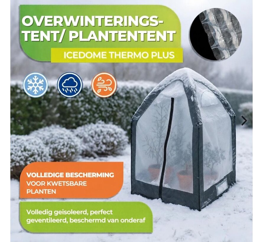 BioGreen ICEDOME ThermoPLUS Deluxe Overwinteringstent - 120 x 120 x 183 cm