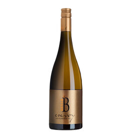 Beyer ENVOY Sauvignon Blanc 2021