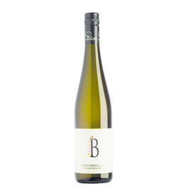 Beyer Weinviertel DAC Grüner Veltliner 2024
